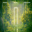 Cover Never Been