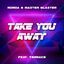 Cover Take You Away (Radio Mix)