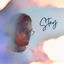 Cover Stay