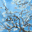 Cover this is what winter feels like