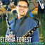 Cover Eterna Forest (From "Pokemon Diamond / Pearl / Platinum")