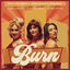 Cover Burn
