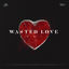 Cover Wasted Love