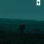 Cover in limbo