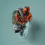 Cover Unworthy