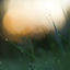 Cover Stillpoint
