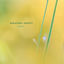 Cover Limosa