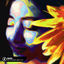 Cover Shivers