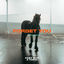 Cover Forget You