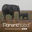 Cover Go Steady (From BBC's Parenthood)
