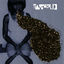 Cover Santigold