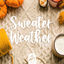 Cover Sweater Weather Vol. 2 (alexrainbirdmusic)