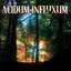 Cover Acidum Influxum