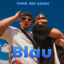 Cover Blau