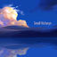 Cover Small Victorys