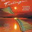Cover Feelings 2 - 18 Golden Panflute Melodies