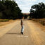 Cover Long Way Home