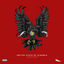 Cover UNITED STATE OF ALBANIA