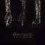 Cover Lovers, Sinners & Liars (Deluxe Edition)