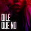 Cover Dile Que No