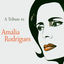 Cover Tribute to Amalia Rodrigues