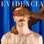 Cover Evidencia