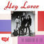 Cover Hey Lover