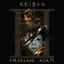 Cover Aranan Adam 2