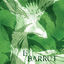 Cover L'aucèl Vert