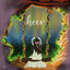Cover Heer