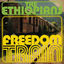 Cover Freedom Train