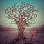Cover Shake the Tree