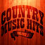 Cover 100 Country Music Hits Vol. 1