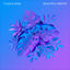 Cover Beautiful Dreams