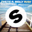 Cover Rush (feat. Molly) (Sam Feldt Remix)