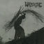Cover Watching from a Distance (Live at Roadburn)