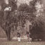 Cover Black Cottonwood