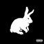 Cover White Rabbit