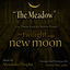 Cover The Meadow - From "The Twilight Saga: New Moon Composed by Alexandre Desplat