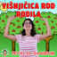 Cover Visnjicica Rod Rodila