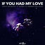 Cover If You Had My Love