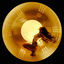 Cover Endless Night