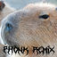 Cover Capybara (Phonk remix)