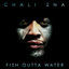 Cover Fish Outta Water