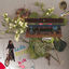 Cover Courtesy of Choice