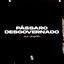 Cover Pássaro Desgovernado