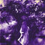 Cover misato