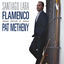 Cover Flamenco Tribute to Pat Metheny