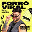 Cover Tentei Te Amar - Forró Viral