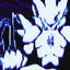 Cover BIOS